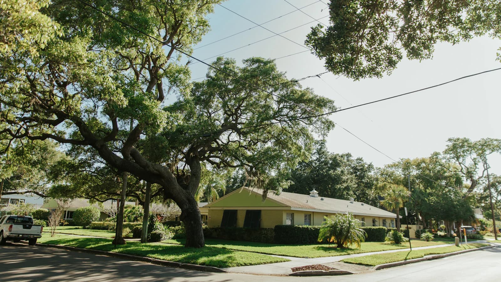 A Florida house with green lawn and shade trees