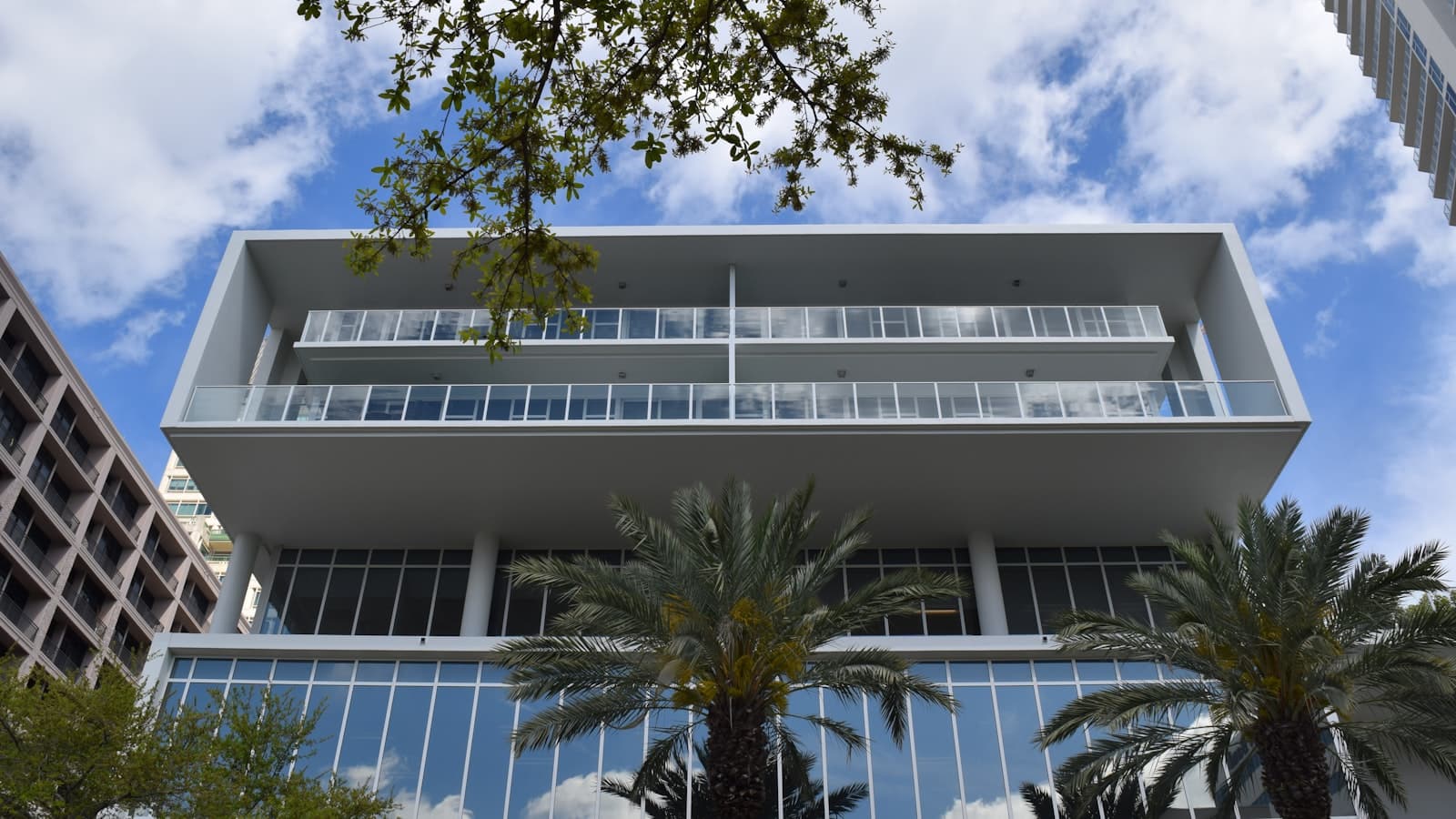 green palm trees in front of concrete building