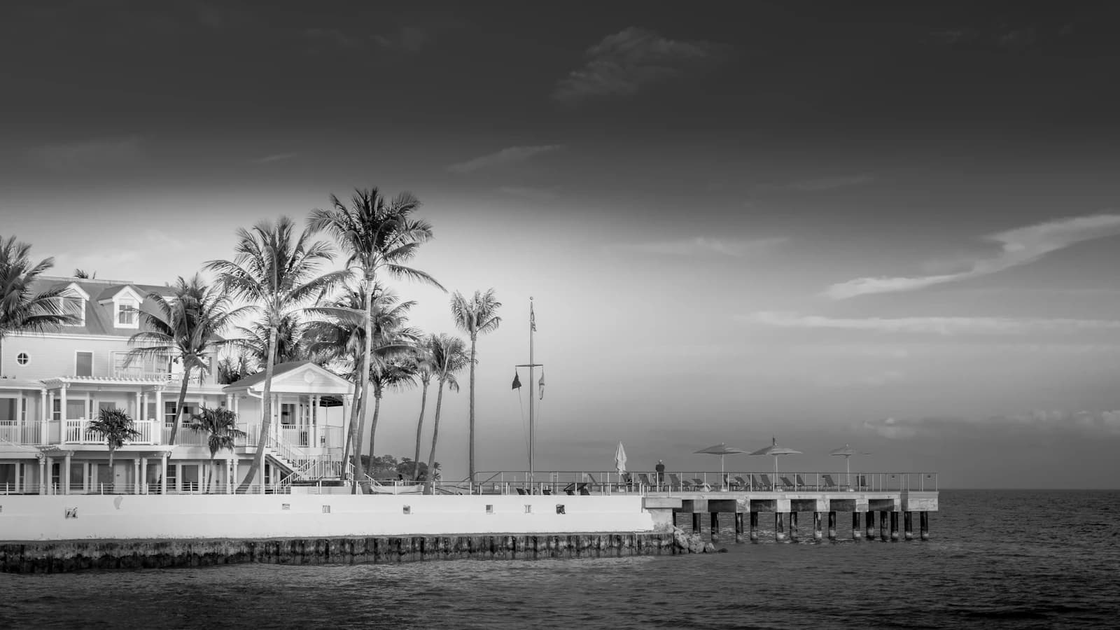 White building with palm trees and pier by the ocean.